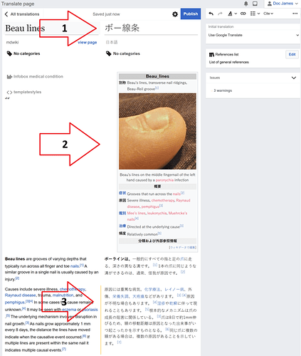 Page3Translate